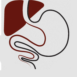 National Gastroliver Institute & Hospital